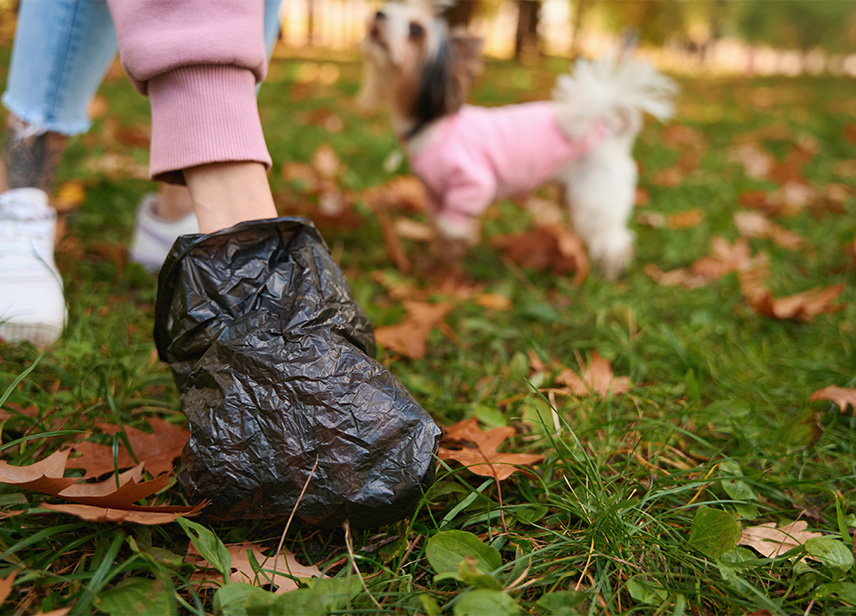 Pet Waste Station-image