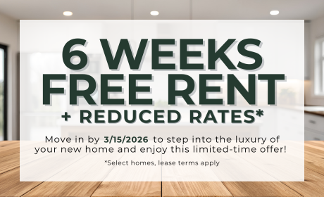 image for /shared/images/newell-village-popup-pitffula.png