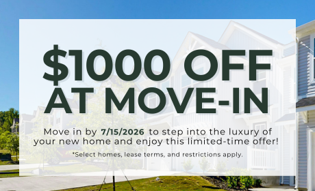 image for /shared/images/newell-village-popup-zk2j5ydm.png